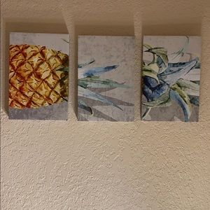 3 piece pineapple canvas